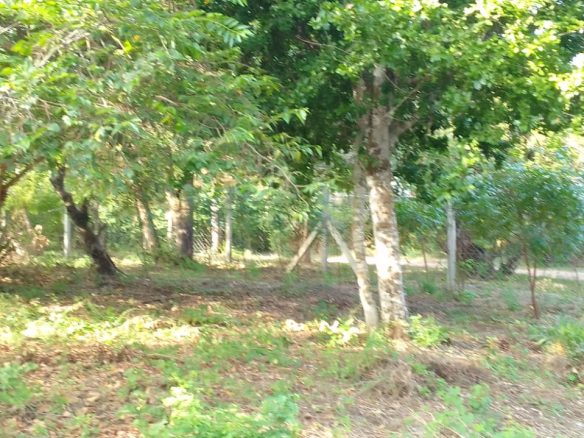 0.5 Acres for sale in Watamu near Garoad Beach