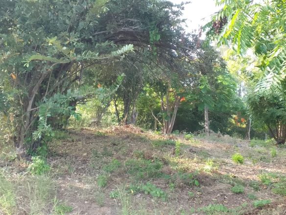 0.5 Acres for sale in Watamu near Garoad Beach