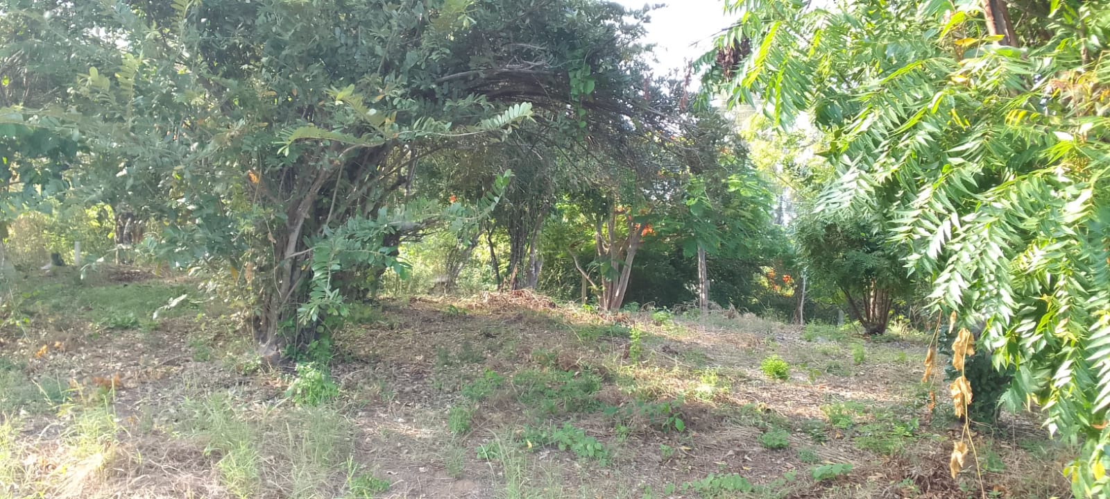 0.5 Acres for sale in Watamu near Garoad Beach