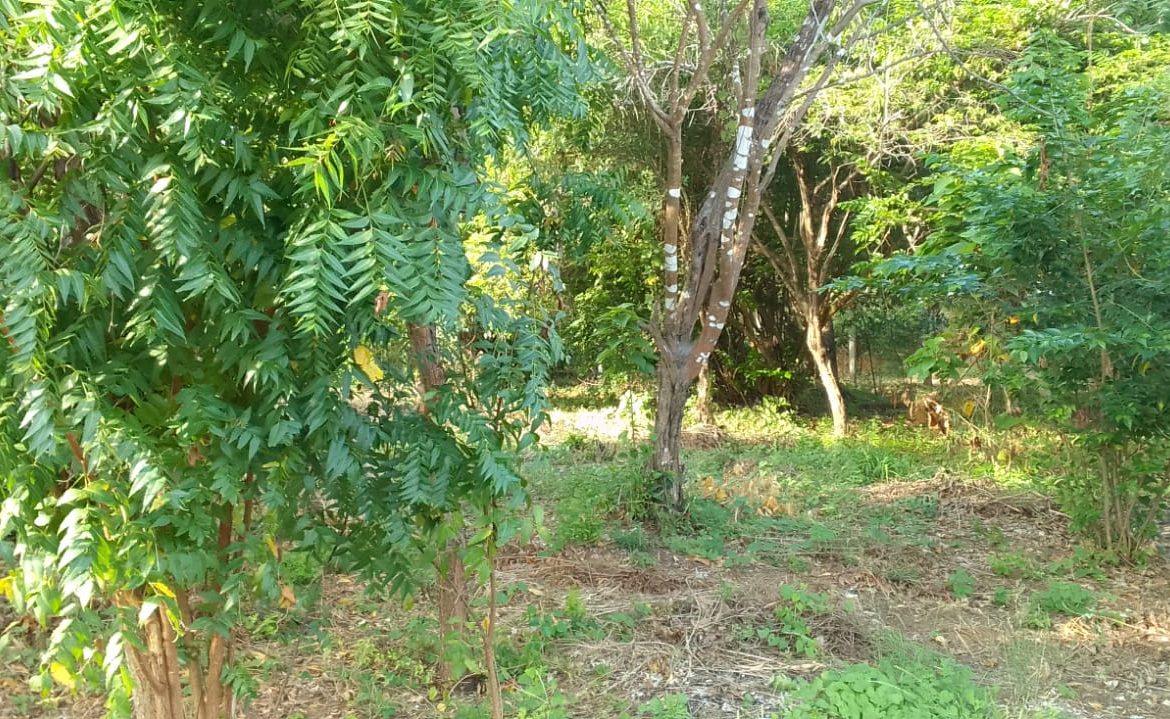 0.5 Acres for sale in Watamu near Garoad Beach