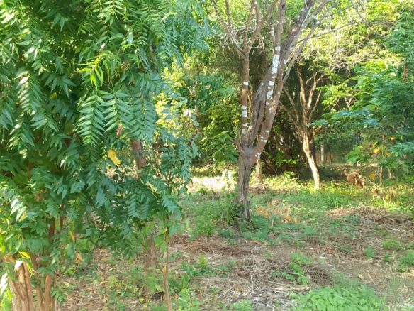 0.5 Acres for sale in Watamu near Garoad Beach
