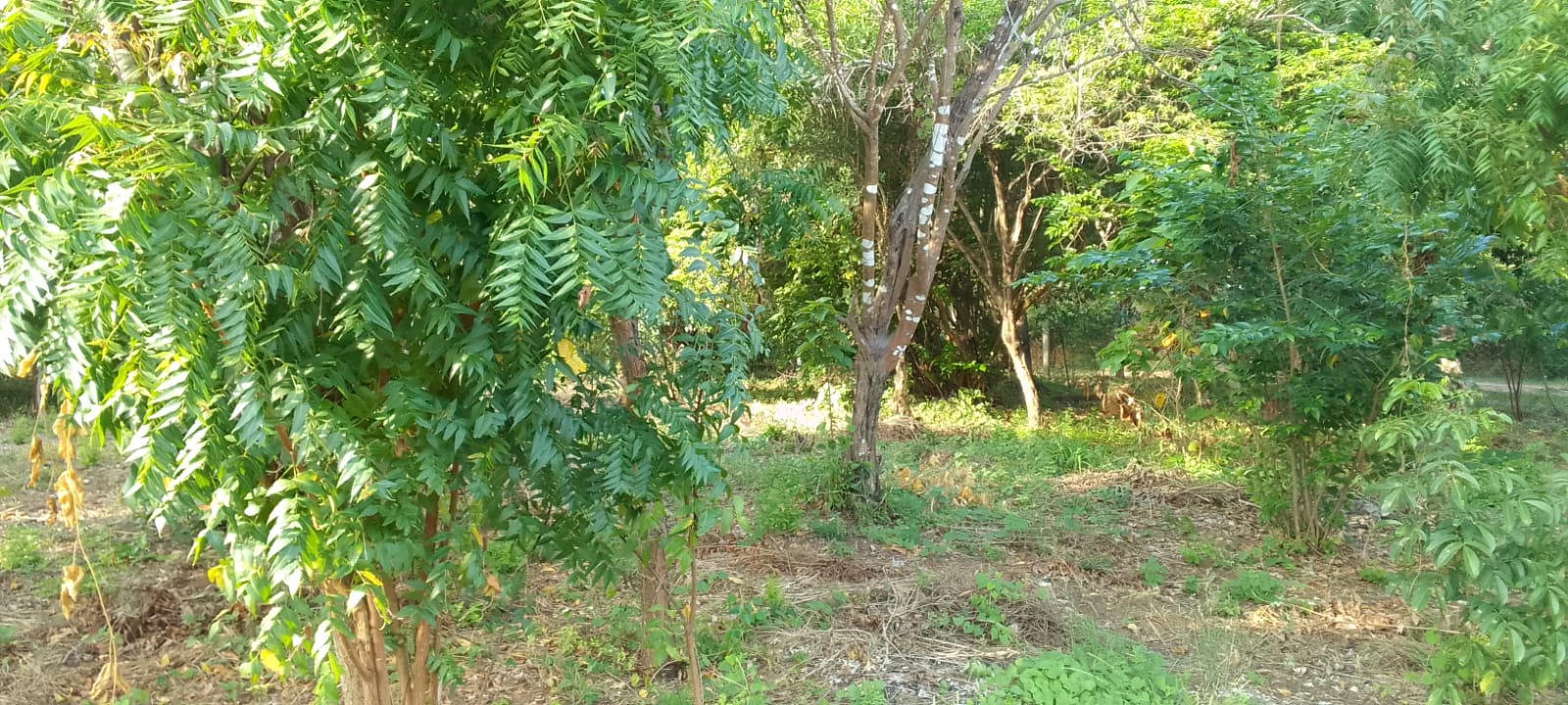 0.5 Acres for sale in Watamu near Garoad Beach