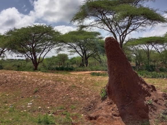 100 Acres for sale in Ngatataek