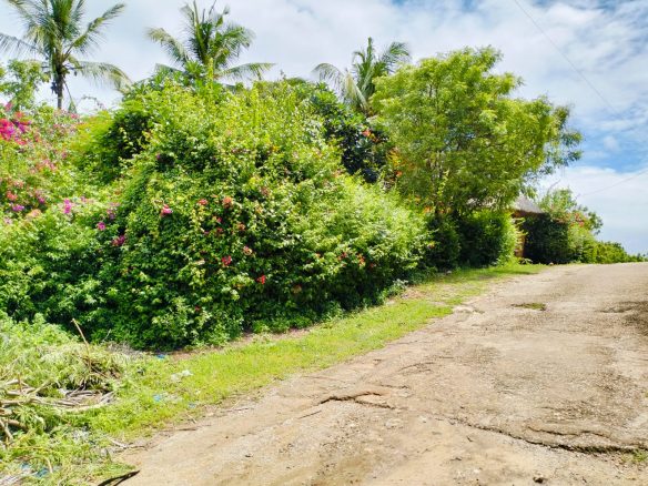 Malindi 1.3 Acres for sale on Casuarina road