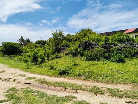 Malindi 1.3 Acres for sale on Casuarina road
