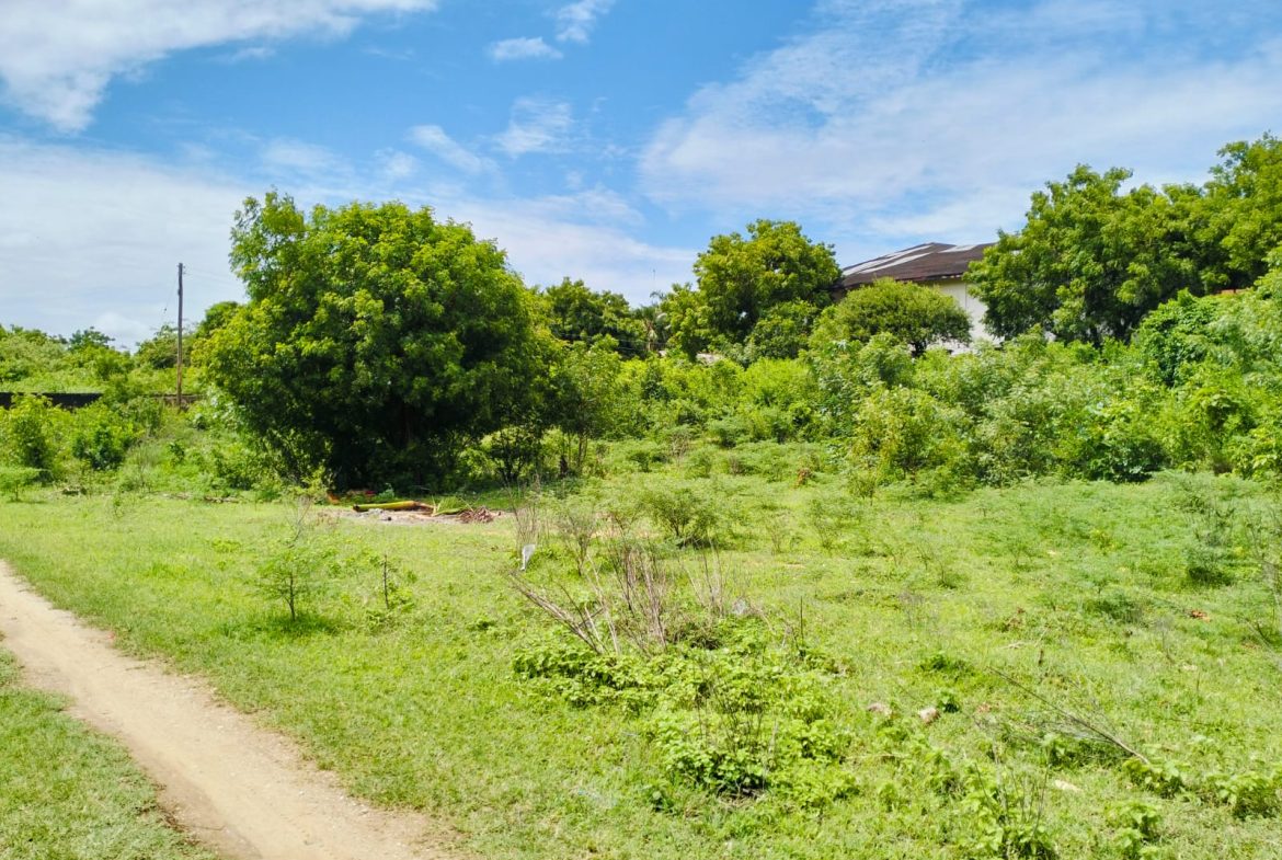 Malindi 1.3 Acres for sale on Casuarina road