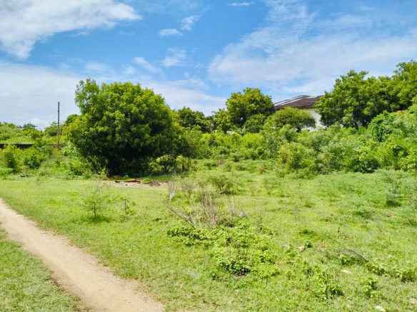 Malindi 1.3 Acres for sale on Casuarina road