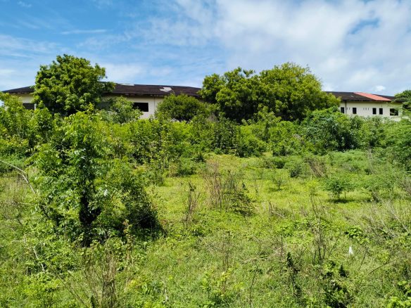 Malindi 1.3 Acres for sale on Casuarina road