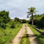 Malindi 1.3 Acres for sale on Casuarina road