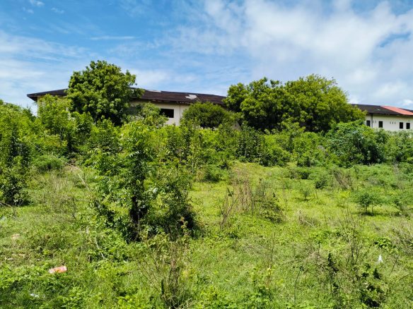 Malindi 1.3 Acres for sale on Casuarina road