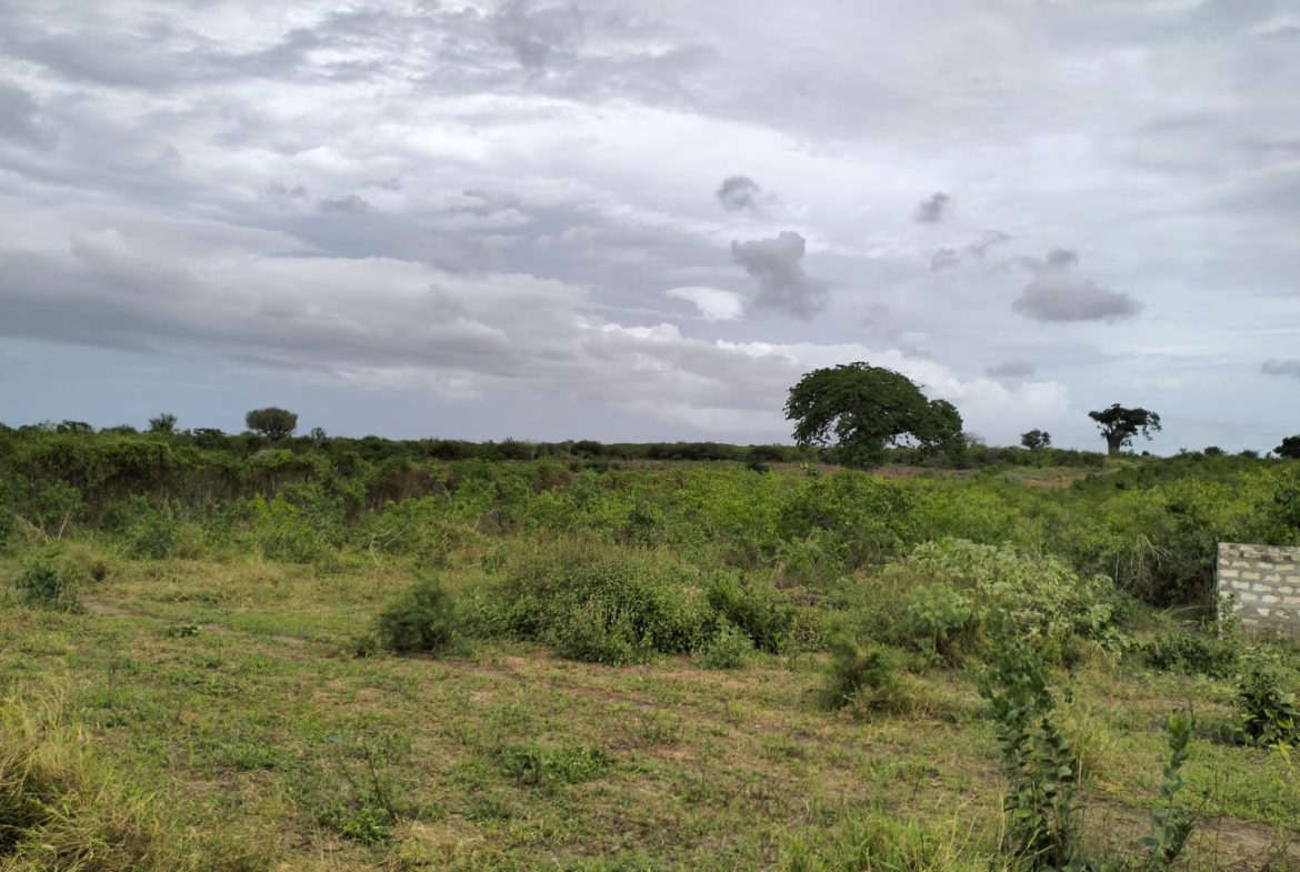 Cleared land for sale in Malindi