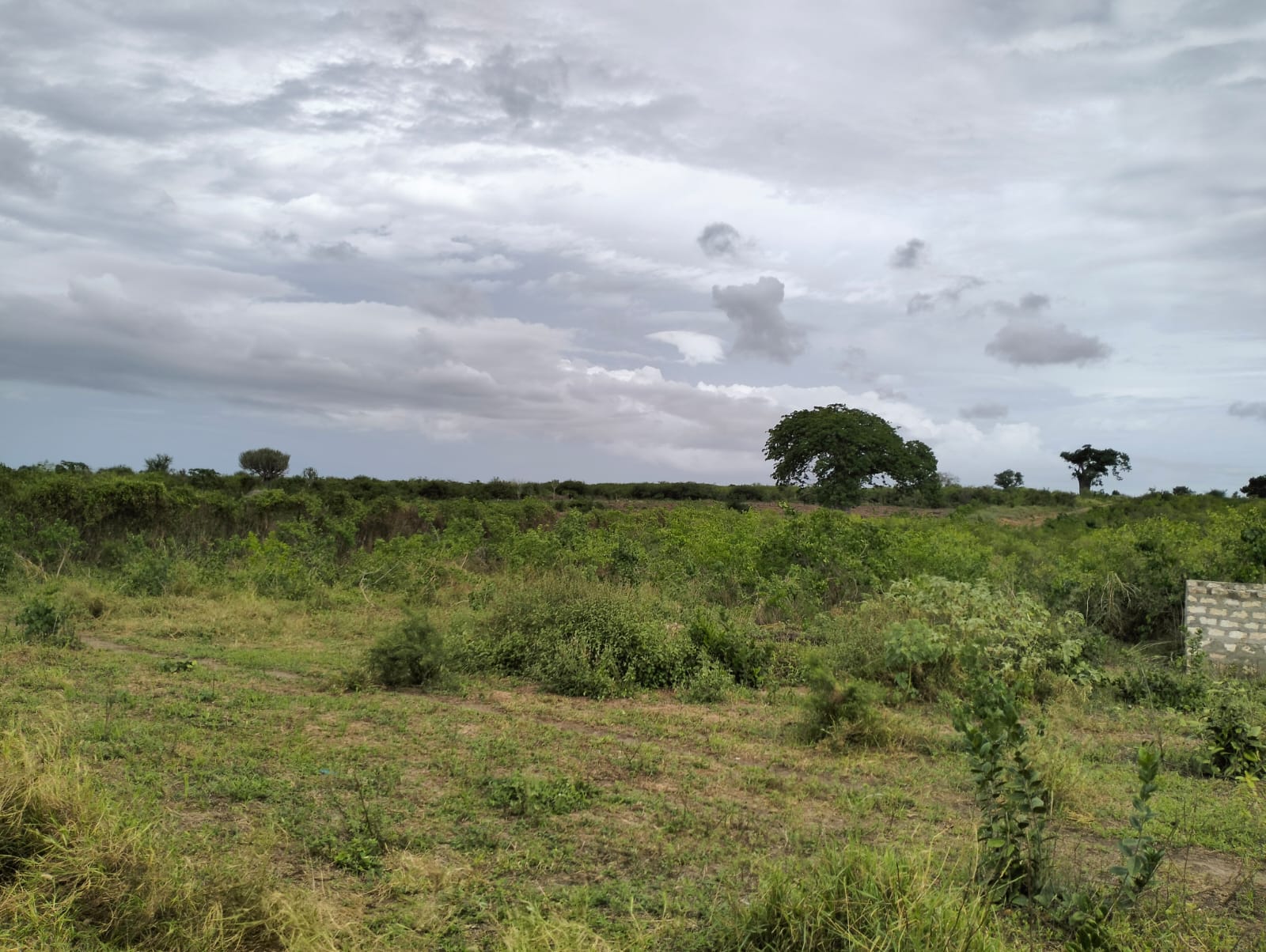 Cleared land for sale in Malindi