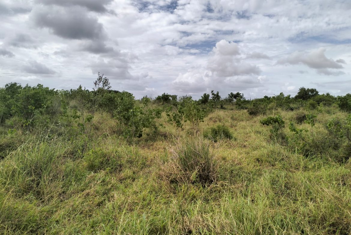 Cleared land for sale in Malindi