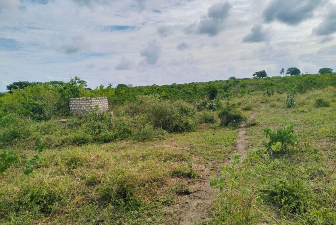 Cleared land for sale in Malindi