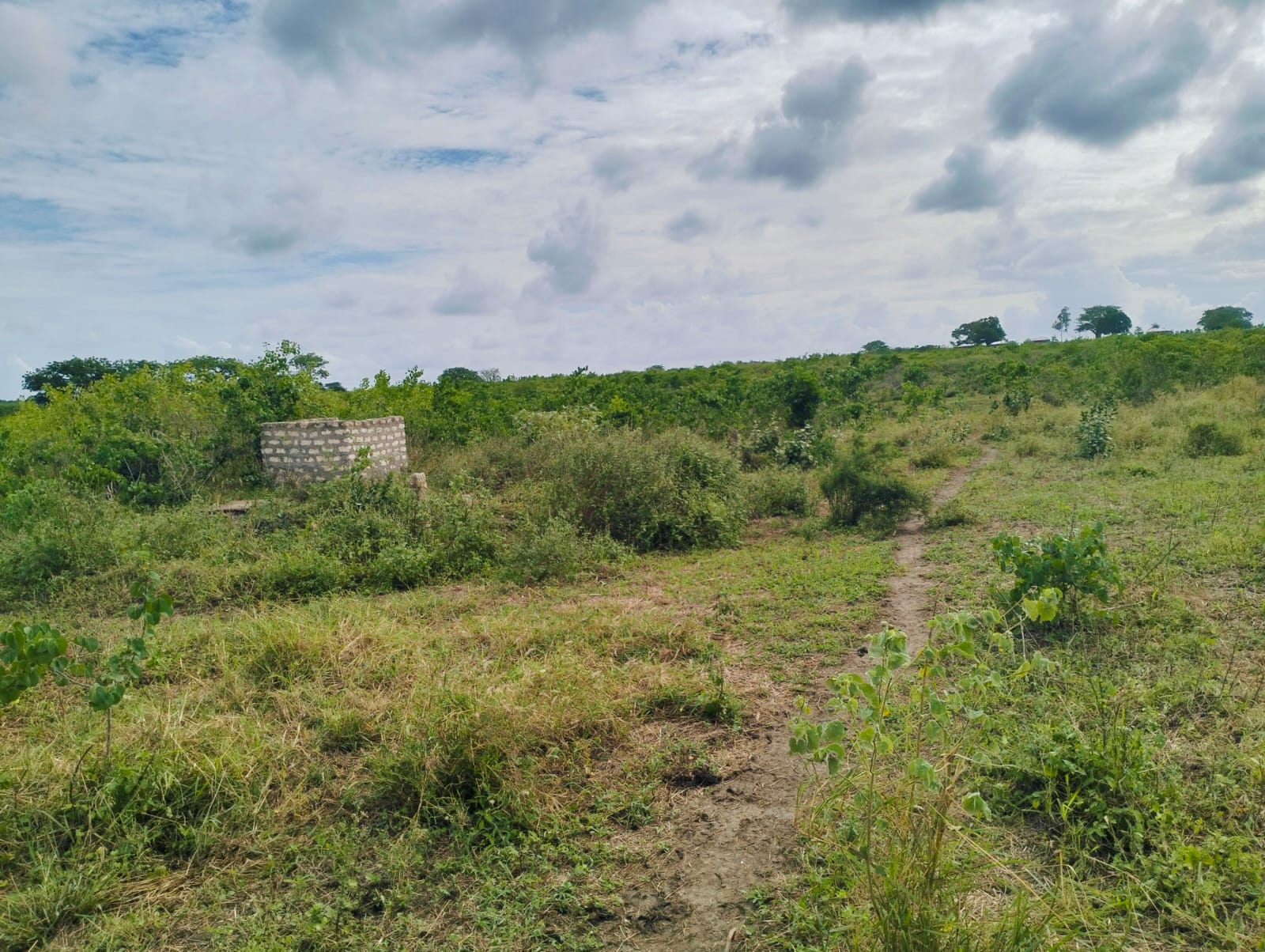 Cleared land for sale in Malindi