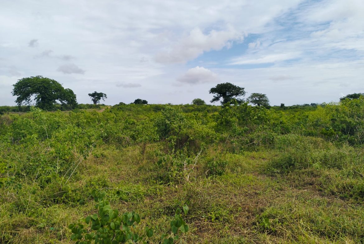 Cleared land for sale in Malindi