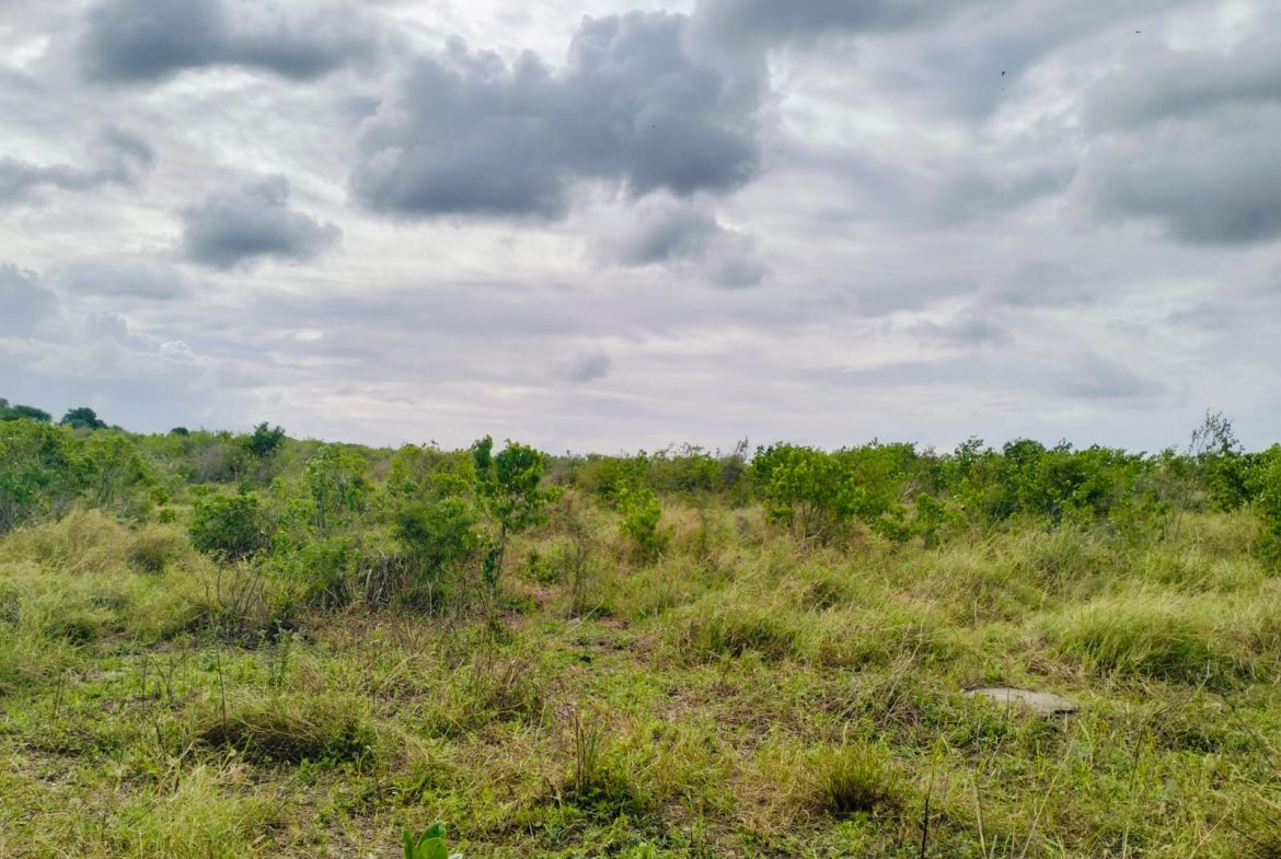 Cleared land for sale in Malindi