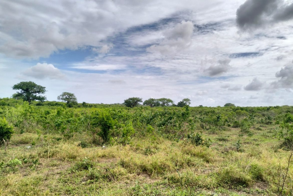 Cleared land for sale in Malindi