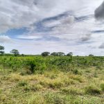 Cleared land for sale in Malindi