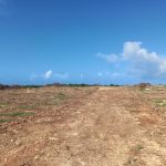 Half are for sale in Mayungu 800m from the beach