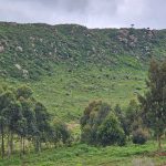 Kamangu 5 acres for sale