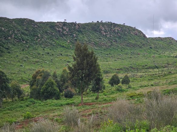 Kamangu 5 acres for sale