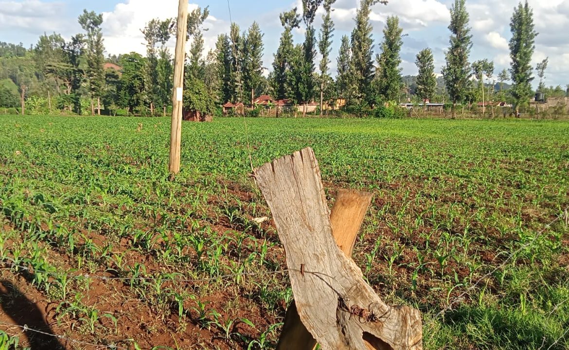 2 Acres for sale in Kibingoti for sale