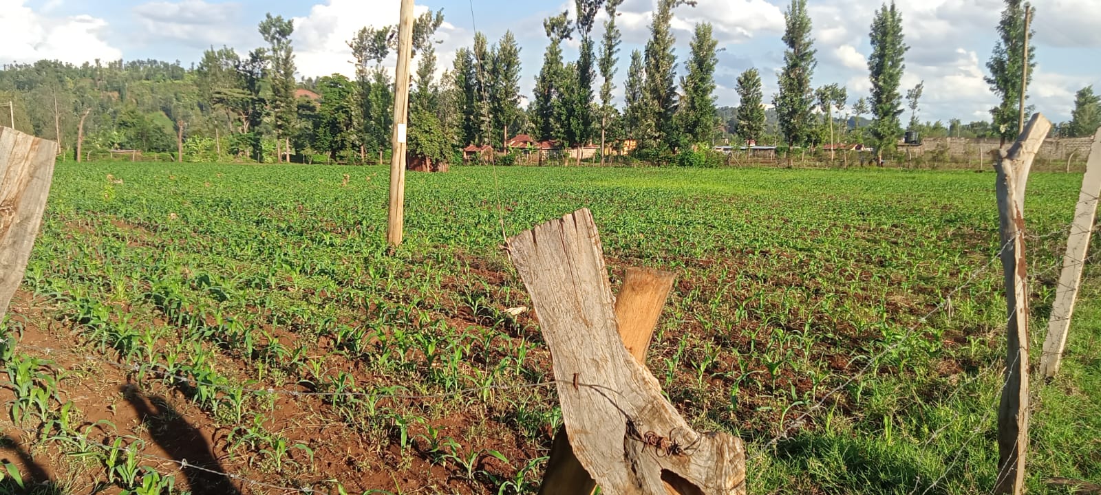 2 Acres for sale in Kibingoti for sale