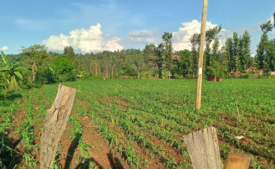 2 Acres for sale in Kibingoti for sale