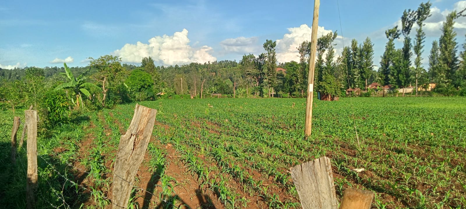 2 Acres for sale in Kibingoti for sale