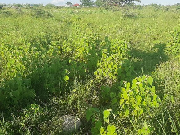 5 Acres for sale in Kitengela