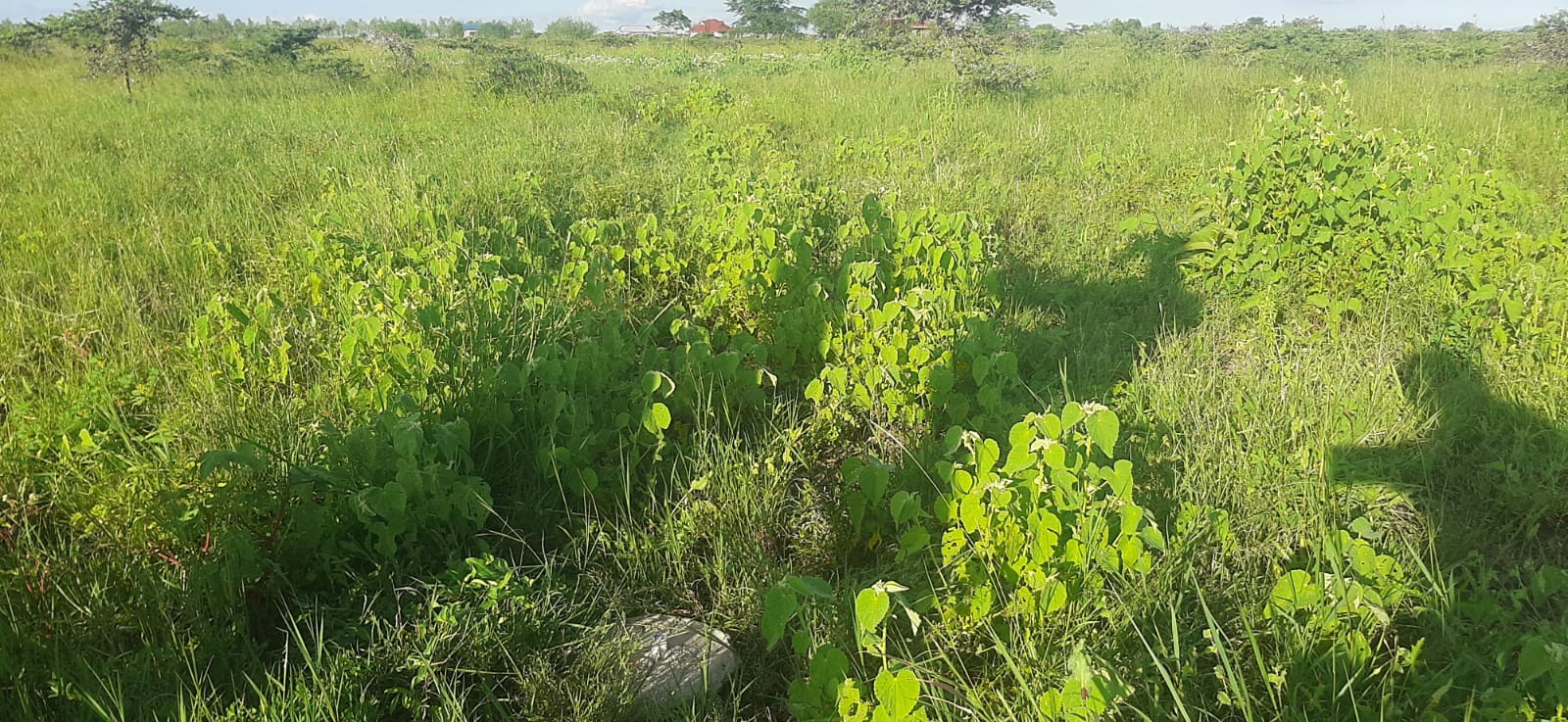 5 Acres for sale in Kitengela