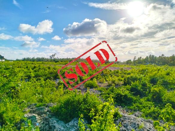 Quarter acres for sale in Watamu.