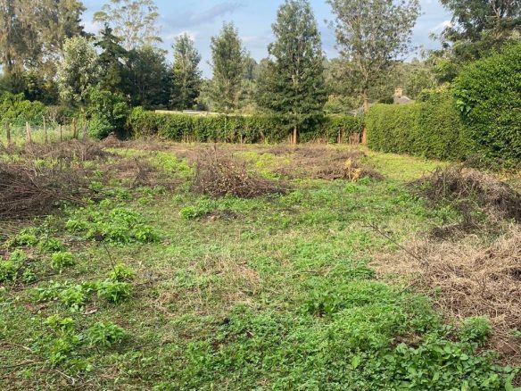 Prime quarter acre for sale in Ngong
