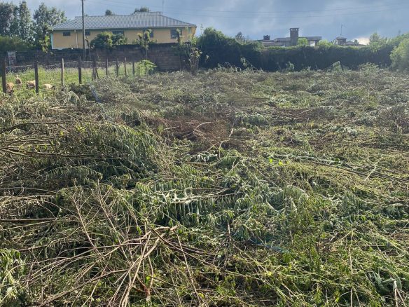 Prime quarter acre for sale in Ngong