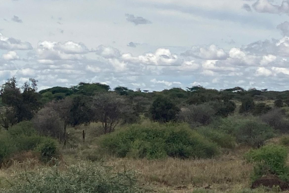 Prime 180-Acre Land for Sale Near Amboseli National Park with Kilimanjaro Views