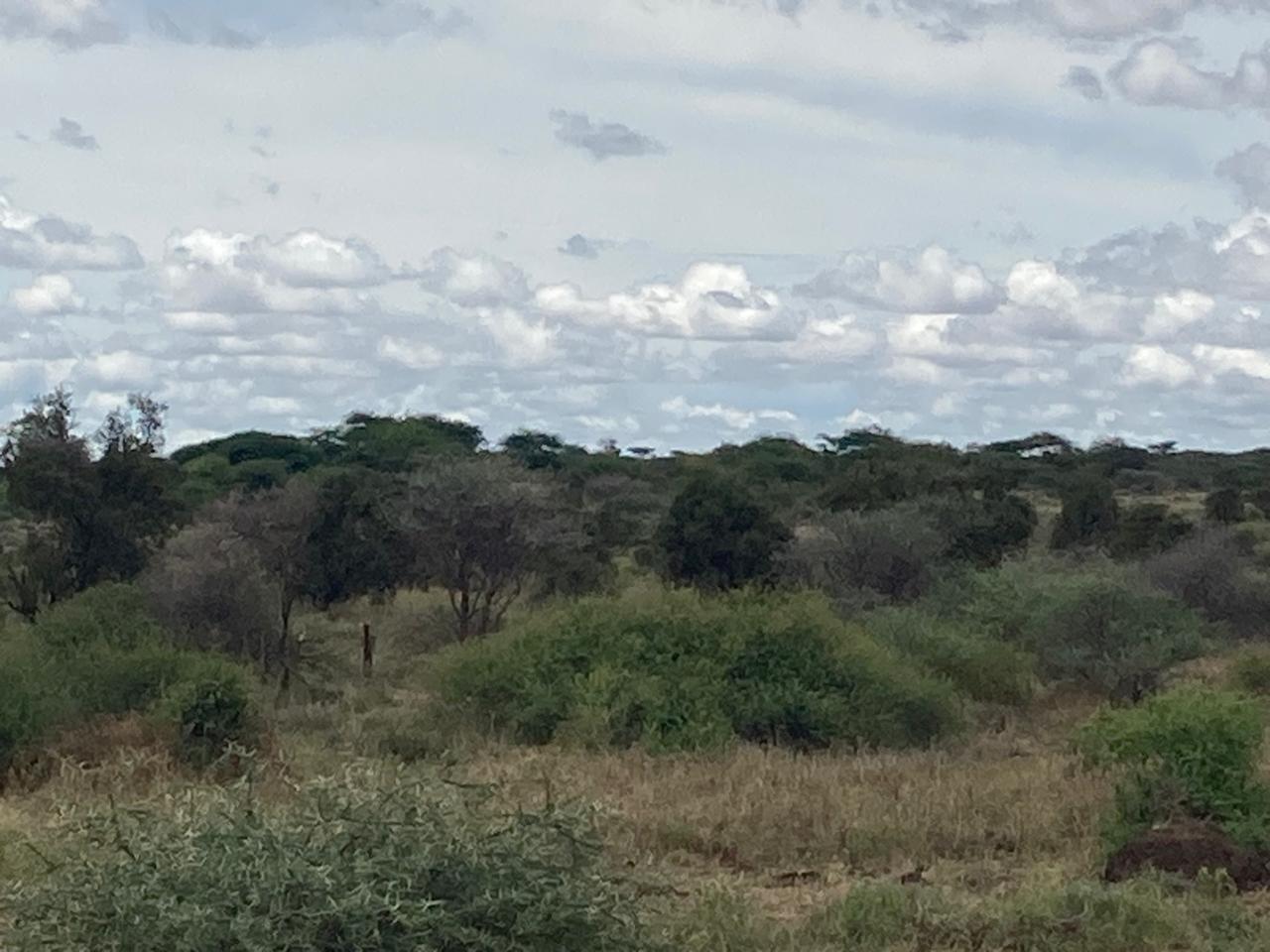 Prime 180-Acre Land for Sale Near Amboseli National Park with Kilimanjaro Views