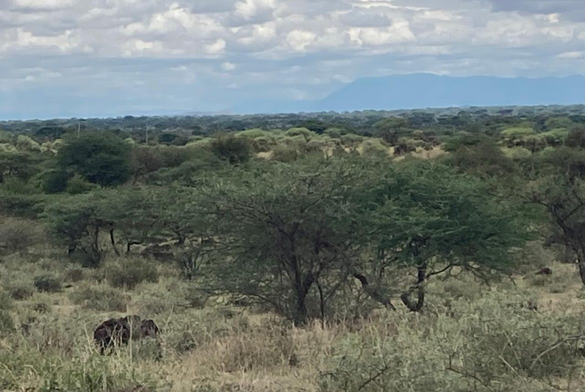 Prime 180-Acre Land for Sale Near Amboseli National Park with Kilimanjaro Views