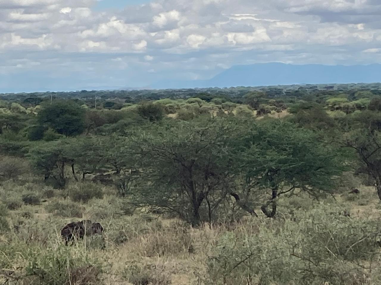 Prime 180-Acre Land for Sale Near Amboseli National Park with Kilimanjaro Views