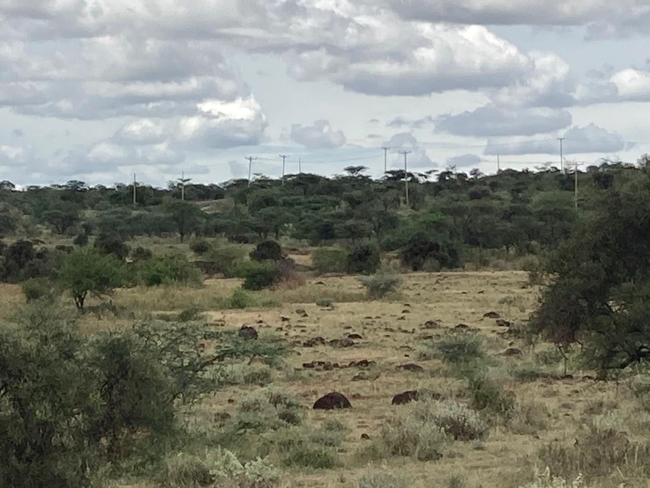 Prime 180-Acre Land for Sale Near Amboseli National Park with Kilimanjaro Views