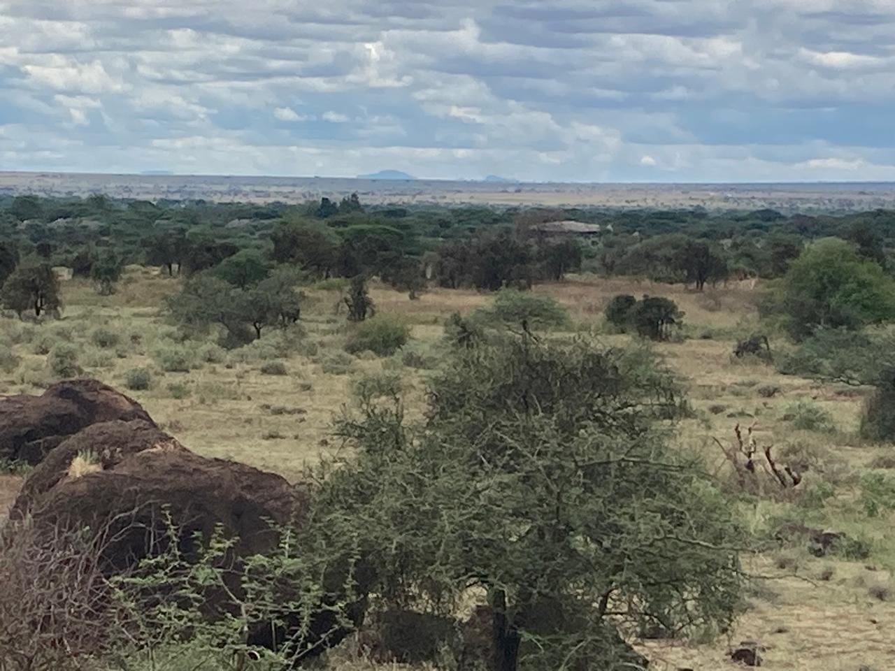 Prime 180-Acre Land for Sale Near Amboseli National Park with Kilimanjaro Views