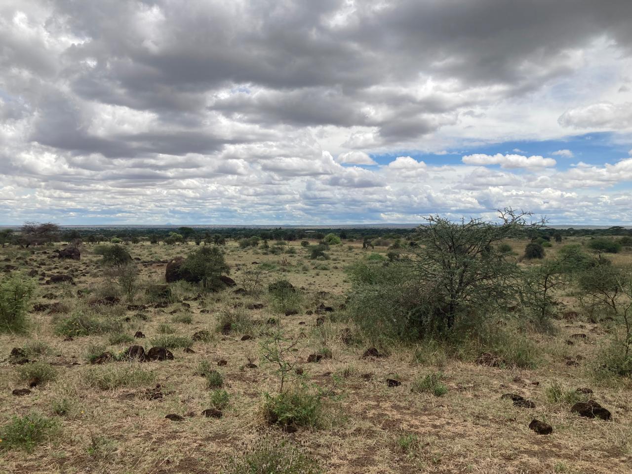 Prime 180-Acre Land for Sale Near Amboseli National Park with Kilimanjaro Views