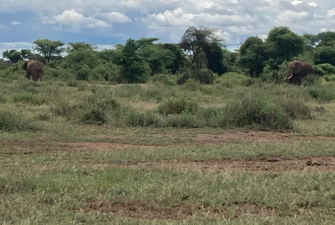 Prime Land for Sale Near Amboseli National Park