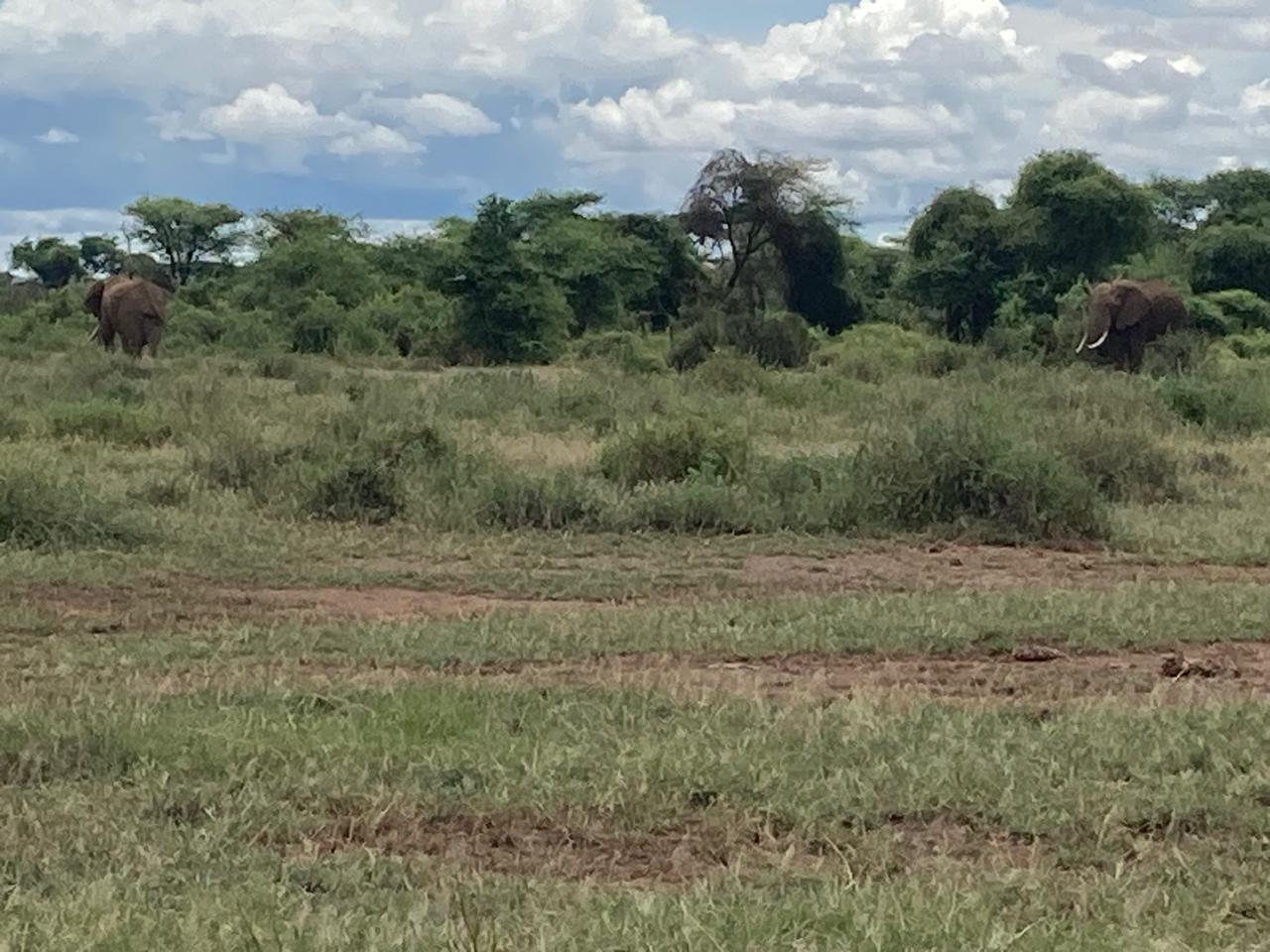 Prime Land for Sale Near Amboseli National Park