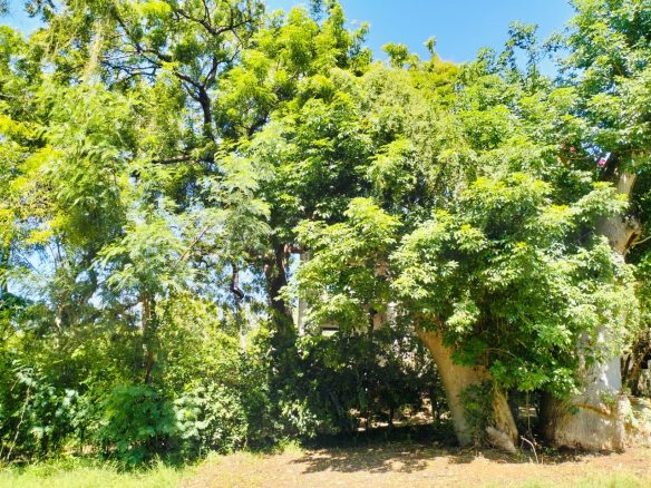 Prime Beachfront Community Plot for sale in Malindi