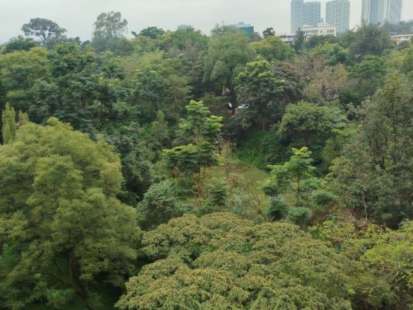 2br apartment for sale in Kileleshwa