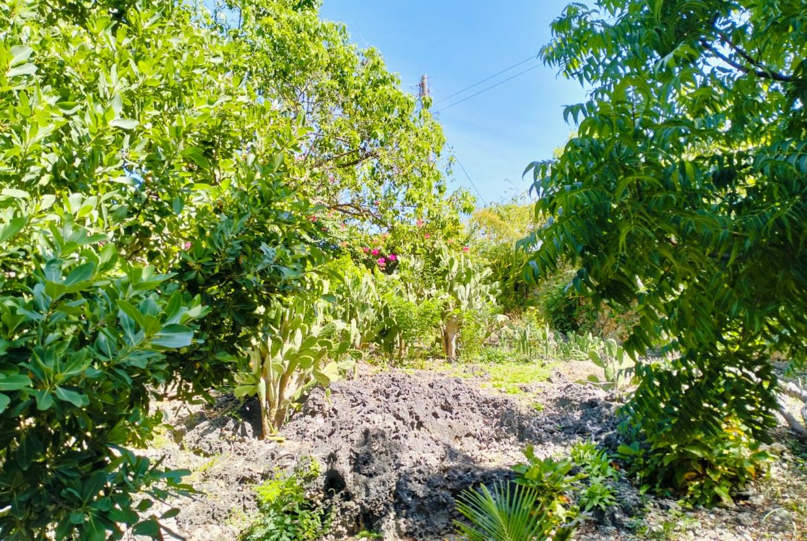 For sale: Three solar-powered bungalows in Watamu, just 15 minutes from the beach. Each en-suite one-bedroom chalet features stylish furnishings, a kitchenette, and shares a lush garden with a gazebo. Secure parking for three cars and priced at 13.5M ONO, offering excellent investment potential.