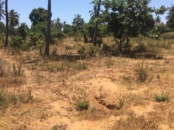 0.125 Acres for sale in Kilifi