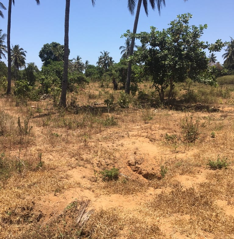 0.125 Acres for sale in Kilifi