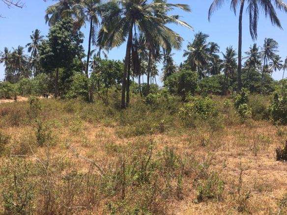 0.125 Acres for sale in Kilifi